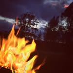 Luke Cody - @lukecody14 - Instagram