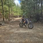 Luke Collison - @lukecollison9 - Instagram