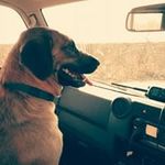 Luke Cotton - @lucky_luke_life - Instagram