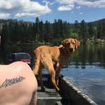 Luke Coulter - @luke_but_mostly_ruger_and_jr - Instagram