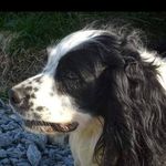 Luke Cousins - @cousins6279 - Instagram