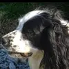 lukecousins09 - @lukecousins09 - TikTok