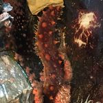 Luke Craft - @lukecraft6 - Instagram