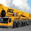 王者Lucky crane - @lucky.crane - TikTok