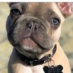 Luke crawford - @luke_crawford11 - Instagram