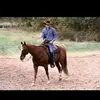 Luke Crawford - @luke_crawford - TikTok