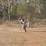 Luke Creed - @luke_5302 - Instagram