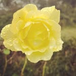 Luke Creed - @lukecreed - Instagram