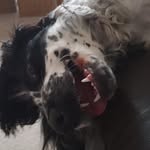 Luke Crow - @luke6373747 - Instagram