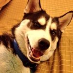 luke crow - @luke.crow1 - Instagram