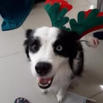 Luke Cullum - @luke.cullum - Instagram