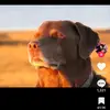 Luke Curran - @luke.curran17 - TikTok