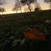 Luke Curran - Facebook
