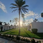 luke davey - @luke_davey_ - Instagram