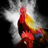 Luke de Haan - @lukedehaan12 - TikTok