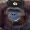 lukedeleon808 - @black_keey - TikTok