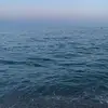 lukedevlinn08 - @lukedevlinn08 - TikTok