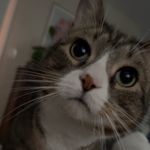 Luke Diaz - @king_dookey - Instagram