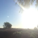 Luke Diaz - @lukediaz52 - Instagram