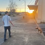 Luke Downes - @lukemdownes - Instagram