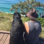 Luke Downey - @luke___downey - Instagram