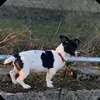 Lukedowd12 - @lukedowd12 - TikTok