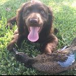 _LuKe_DrAkE - @luke__drake - Instagram