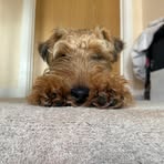Luke Driver - Facebook