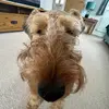 Luke Driver - @lukedriver4 - TikTok