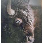 Luke Driver - @dukerivers3000 - Instagram