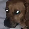 Luke Earnest - @luke.earnest3 - TikTok