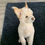 Luke Eccles - @lukeinspain23 - Instagram