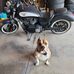 Luke Eddy - Facebook