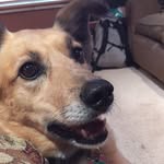 Luke Epp - @luke.epp - Instagram