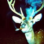 Luke Fay - @flyingdutchieman62 - Instagram