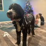 Luke Grizzle Featherbones - @luke_grizzle_featherbones - Instagram