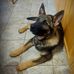 Luke Fehr - Facebook