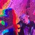 Luke Fetzer - Facebook