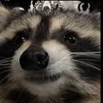 Luke_fleck_ - @carabiffle - Instagram