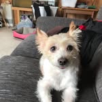 Luke Flecknoe - @lukeflecknoe - Instagram