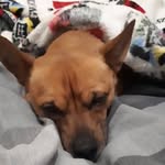 Luke - @luke_flecknell - Instagram