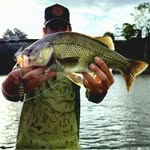 Luke Fleming - @lukefleming799 - Instagram