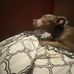 Luke Fleming - Facebook