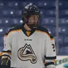 Luke Fleming - @flemingo_27 - TikTok