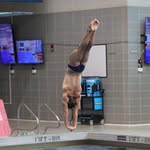 Luke Forester - @lukeforester_ - Instagram