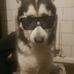 Luke Forster - Facebook