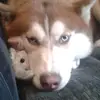 Luke forster - @user218182081784 - TikTok