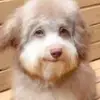 LukeFrey26 - @lukefrey26 - TikTok