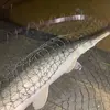 lukefrey995 - @lukefrey995 - TikTok