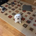 Luke Gendron - @luke__gendron - Instagram